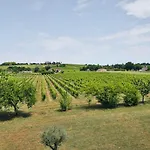 Domaine Grand Piquecaillou - Sauternes Appartamento