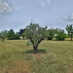 Domaine Grand Piquecaillou - Sauternes Appartamento