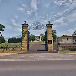 Domaine Grand Piquecaillou - Sauternes *