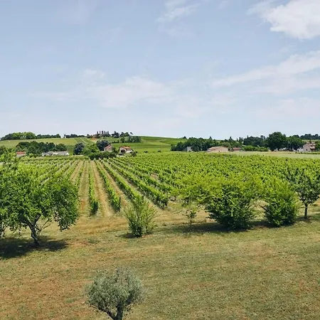 Domaine Grand Piquecaillou - Sauternes Apartment