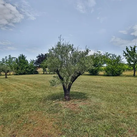 Domaine Grand Piquecaillou - Sauternes Apartment